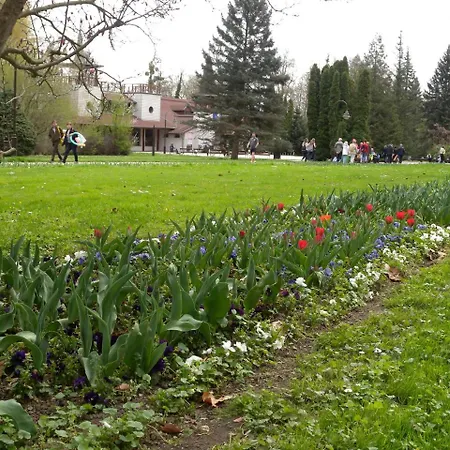 In Heviz/balaton 26242