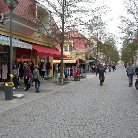 Διαμέρισμα In Heviz/balaton 26242 *