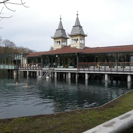 Διαμέρισμα In Heviz/balaton 26242 *